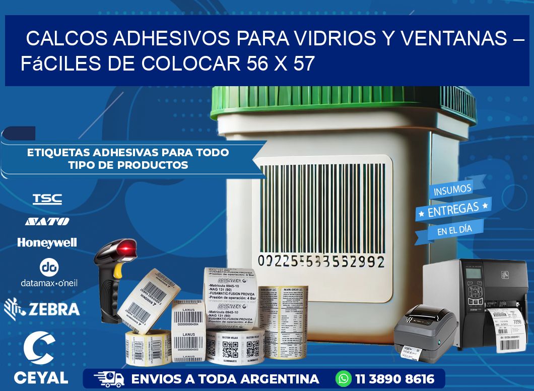 Calcos Adhesivos para Vidrios y Ventanas – Fáciles de Colocar 56 x 57
