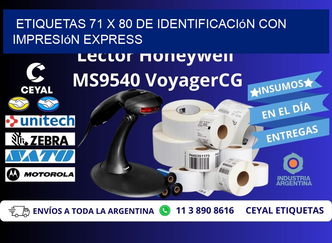 Etiquetas 71 x 80 de Identificación con Impresión Express