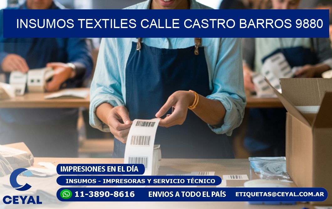 INSUMOS TEXTILES CALLE CASTRO BARROS 9880