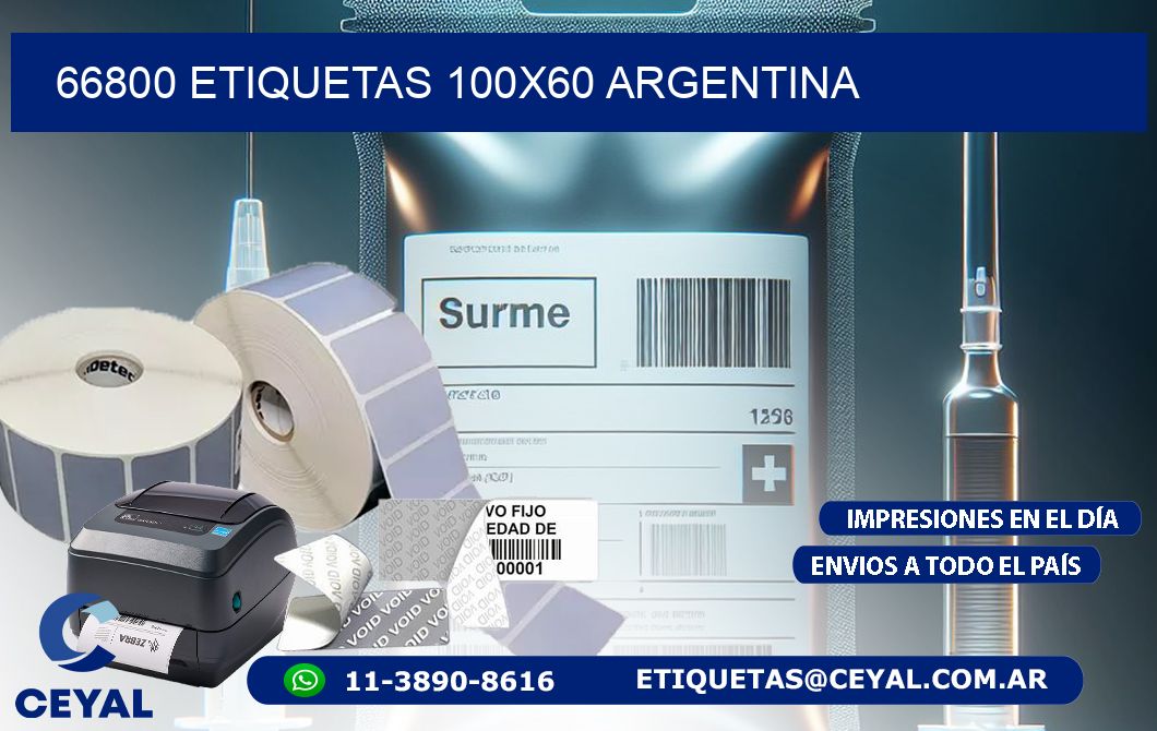 66800 ETIQUETAS 100x60 argentina