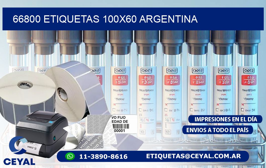 66800 ETIQUETAS 100x60 argentina