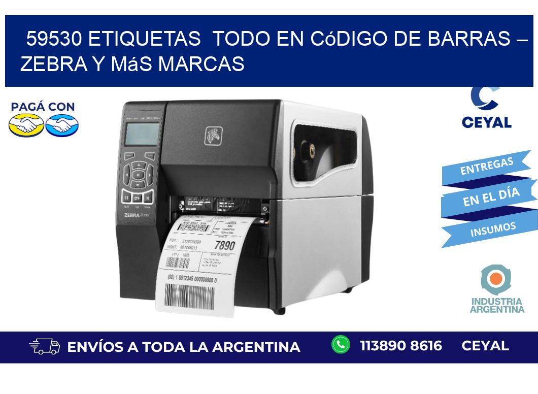 59530 etiquetas Todo en Código de Barras – Zebra y Más Marcas