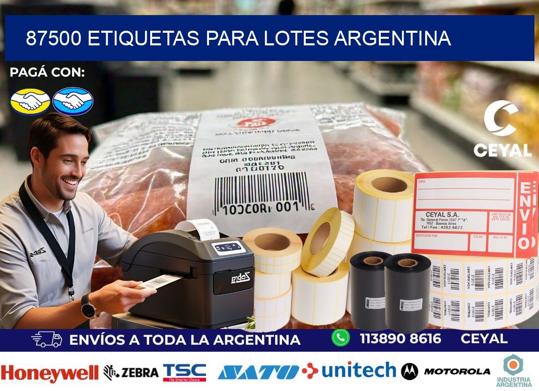 87500 ETIQUETAS PARA LOTES ARGENTINA