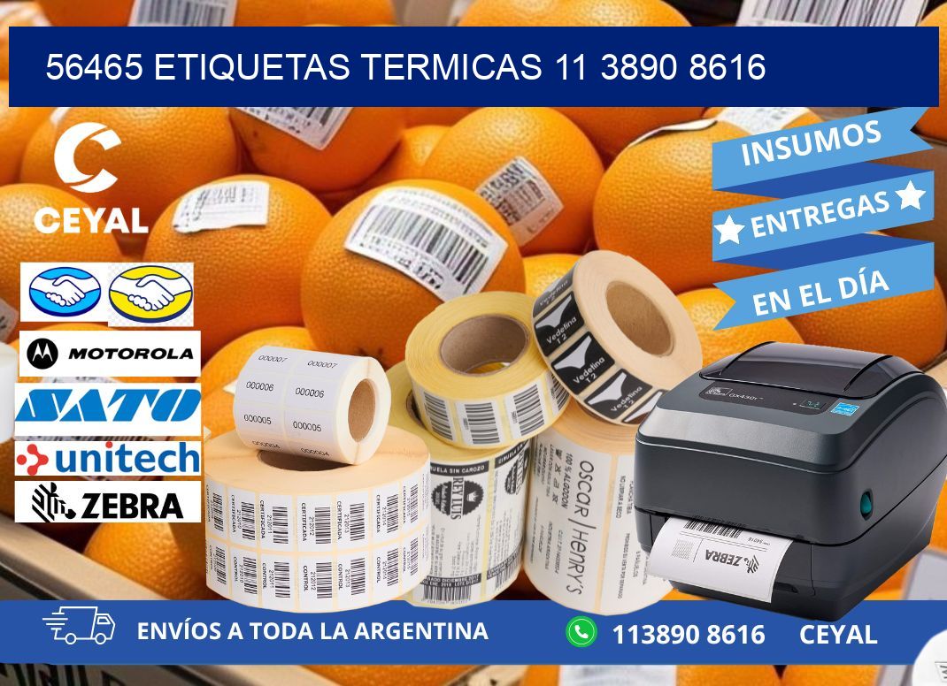 56465 ETIQUETAS TERMICAS 11 3890 8616