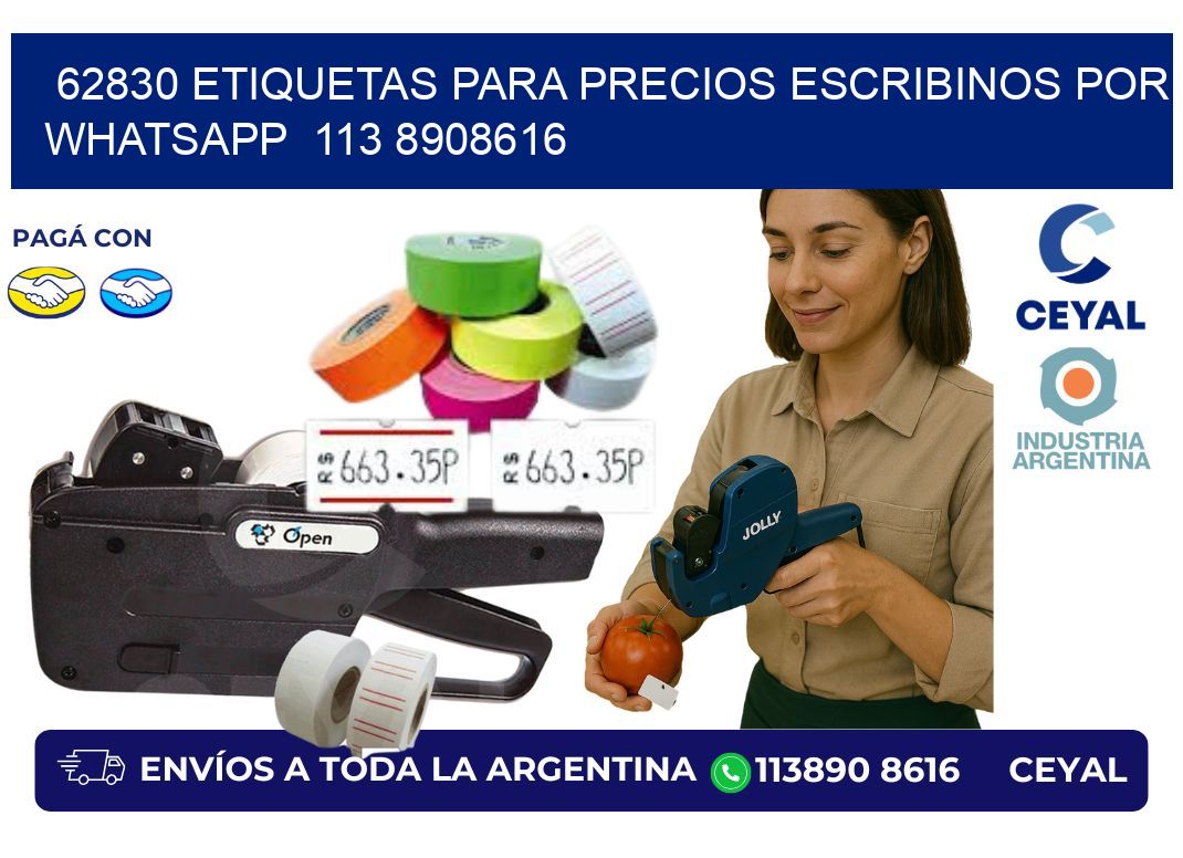 62830 ETIQUETAS PARA PRECIOS ESCRIBINOS POR WHATSAPP  113 8908616
