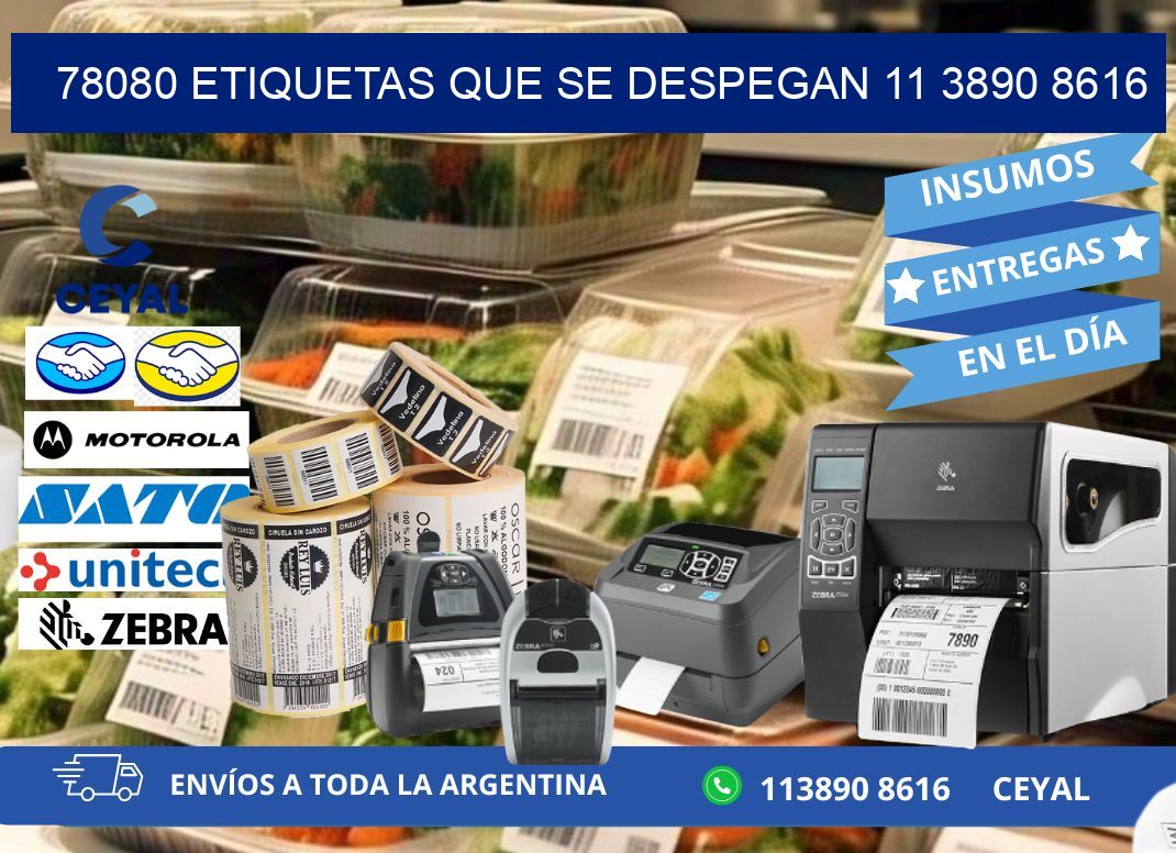 78080 ETIQUETAS QUE SE DESPEGAN 11 3890 8616