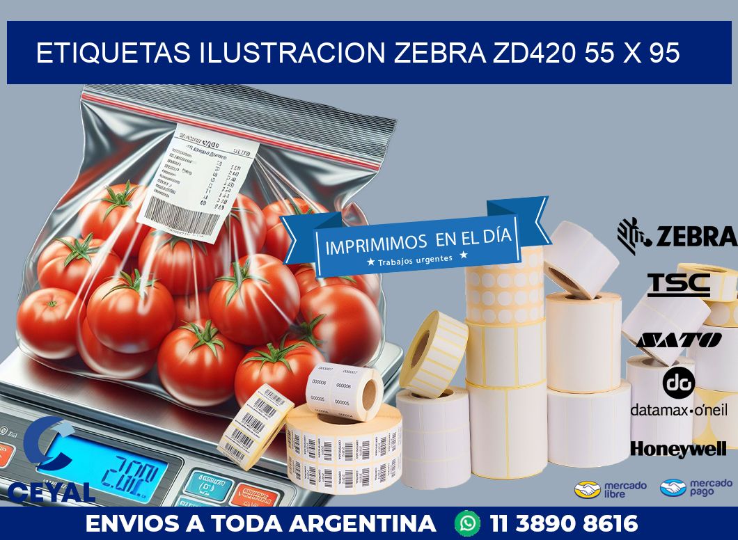 ETIQUETAS ILUSTRACION ZEBRA ZD420 55 x 95
