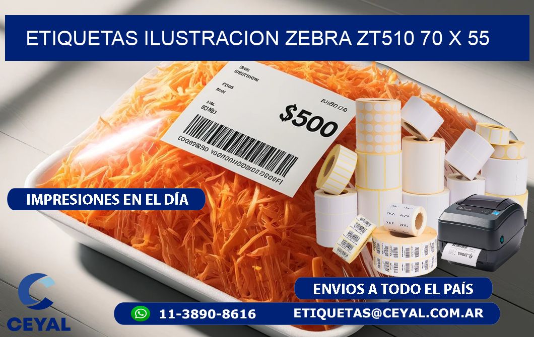 ETIQUETAS ILUSTRACION ZEBRA ZT510 70 x 55