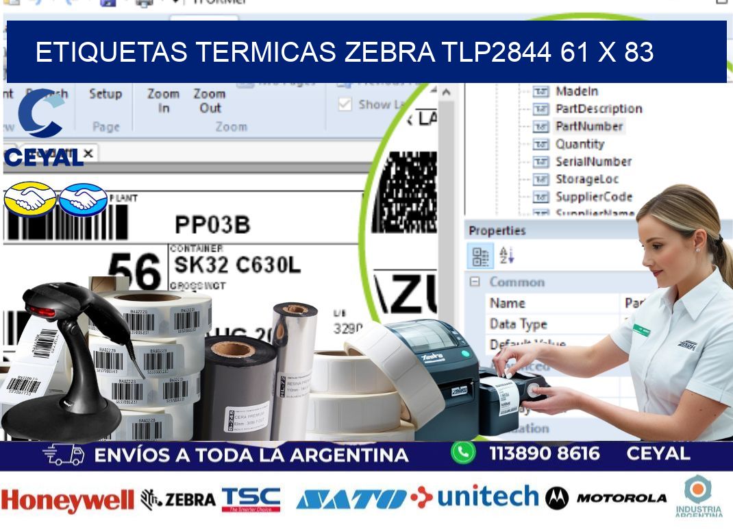 ETIQUETAS TERMICAS ZEBRA TLP2844 61 x 83