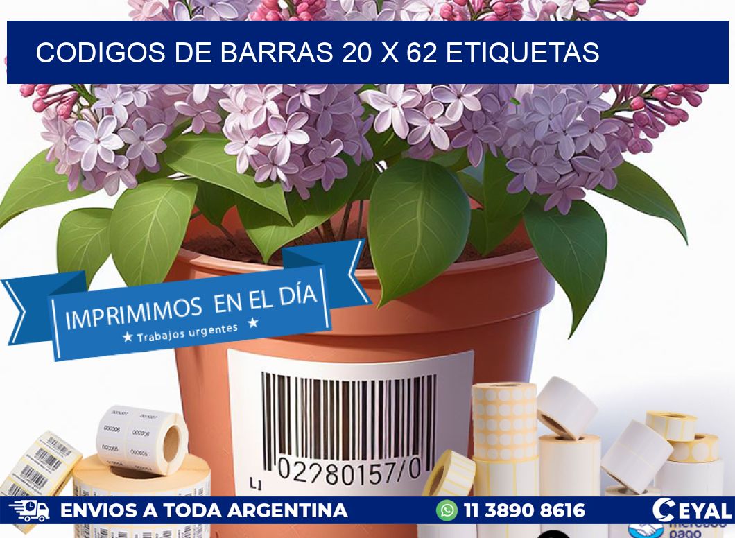 codigos de barras 20 x 62 etiquetas