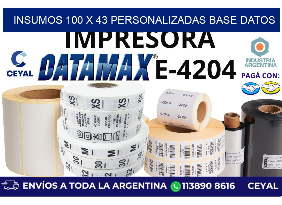 insumos 100 x 43 personalizadas base datos