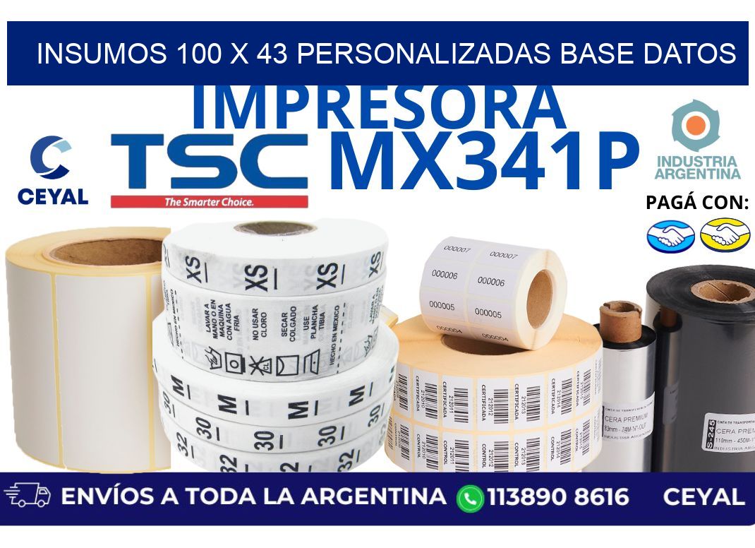 insumos 100 x 43 personalizadas base datos