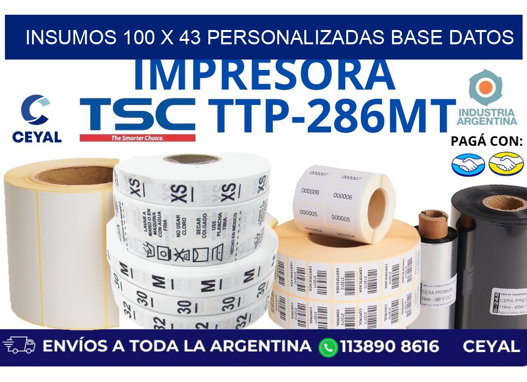 insumos 100 x 43 personalizadas base datos