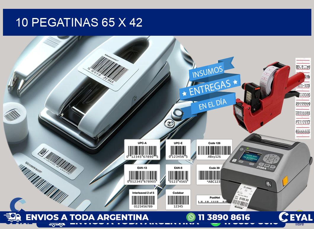10 PEGATINAS 65 x 42