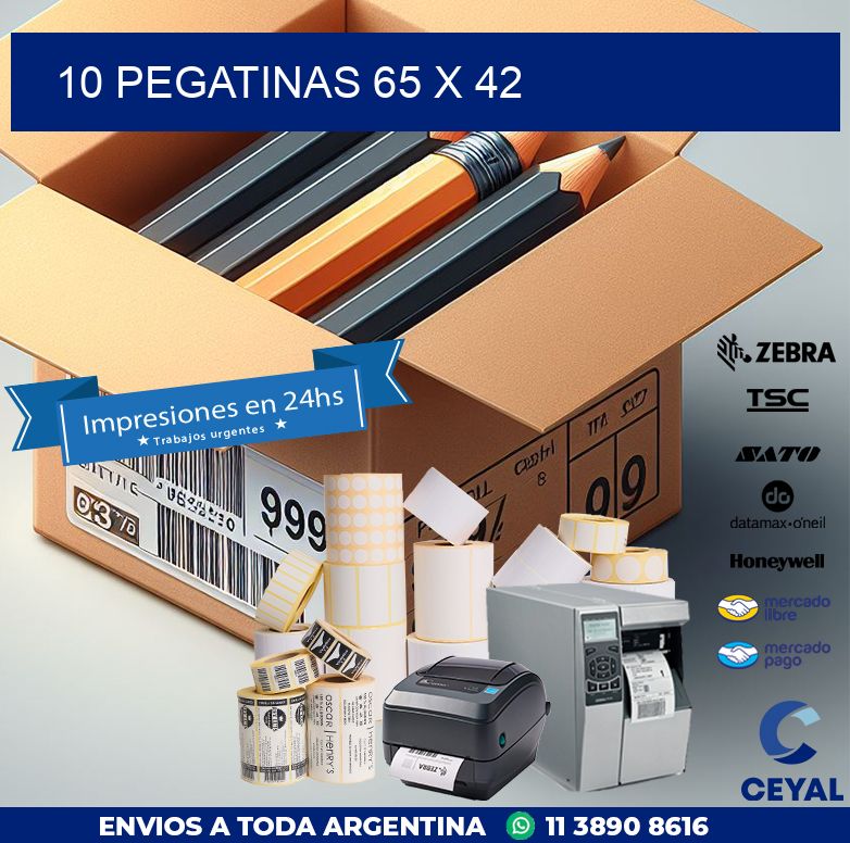 10 PEGATINAS 65 x 42