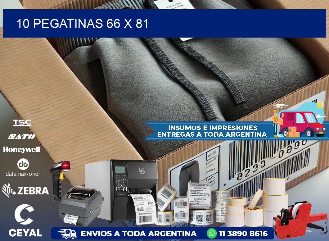 10 PEGATINAS 66 x 81