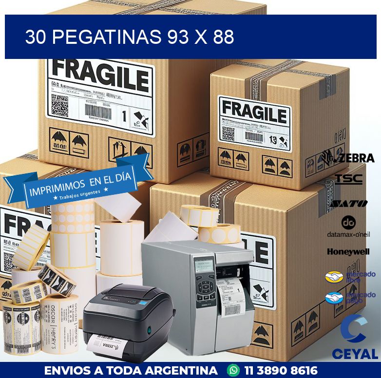 30 PEGATINAS 93 x 88
