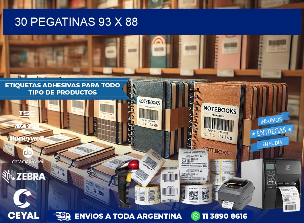 30 PEGATINAS 93 x 88