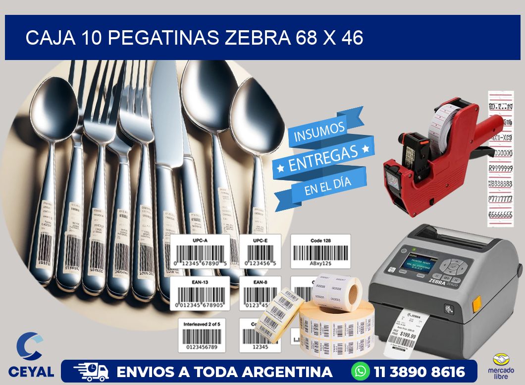 CAJA 10 PEGATINAS ZEBRA 68 x 46