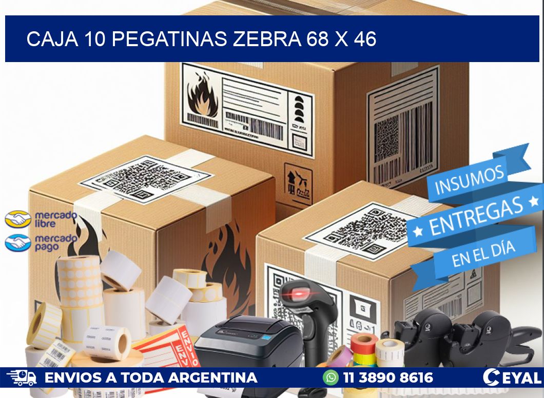 CAJA 10 PEGATINAS ZEBRA 68 x 46