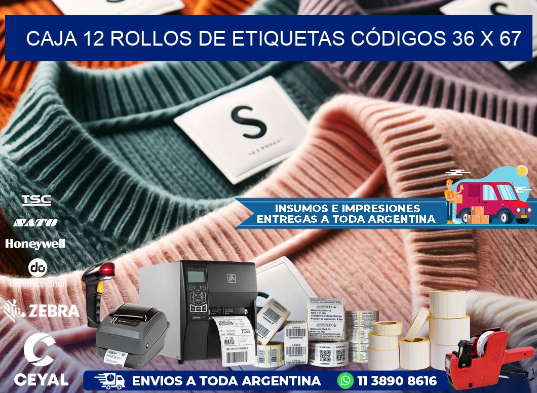 CAJA 12 ROLLOS DE ETIQUETAS CÓDIGOS 36 x 67