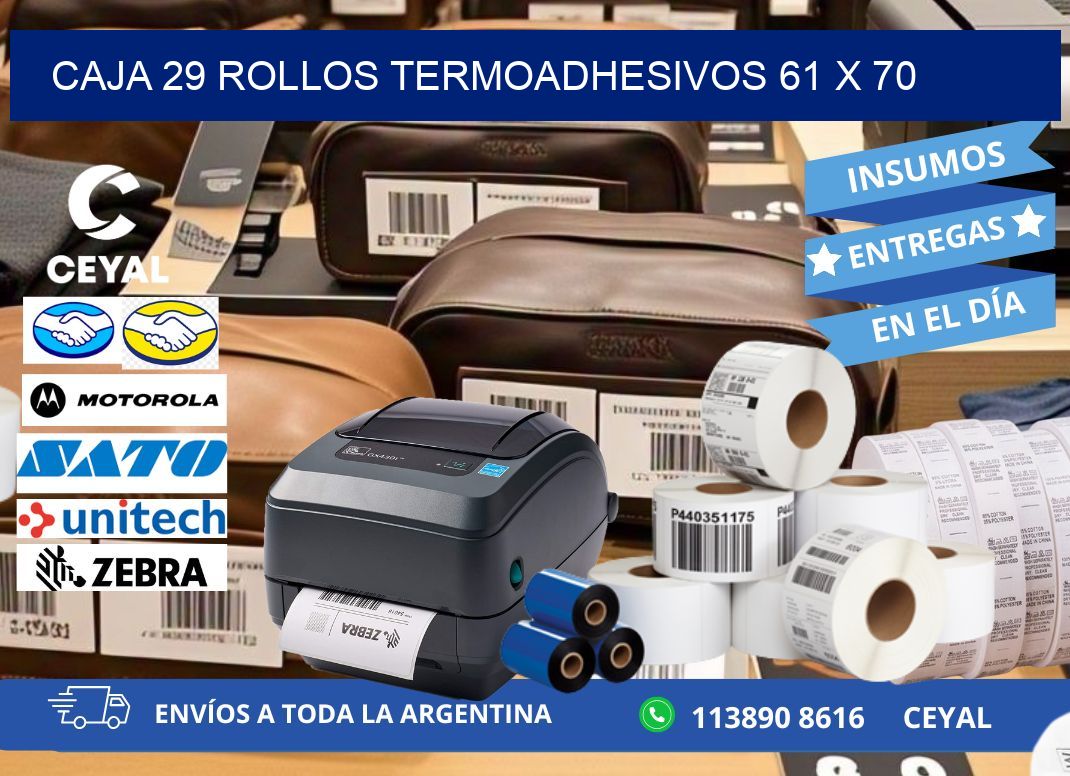 CAJA 29 ROLLOS TERMOADHESIVOS 61 x 70