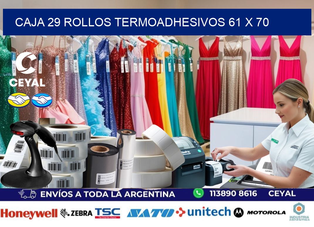 CAJA 29 ROLLOS TERMOADHESIVOS 61 x 70