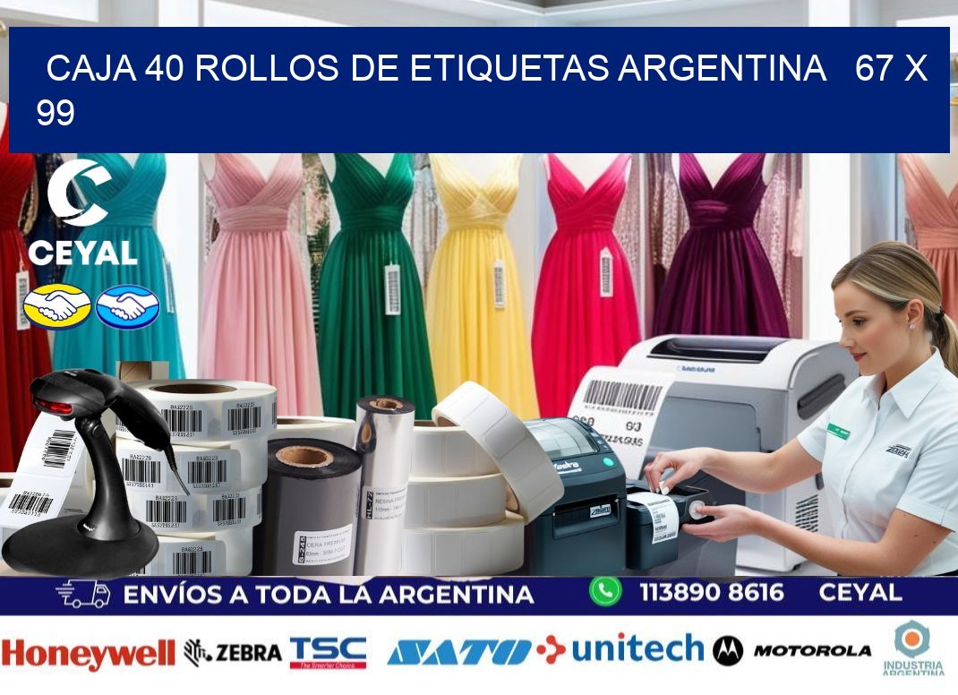 CAJA 40 ROLLOS DE ETIQUETAS ARGENTINA   67 x 99