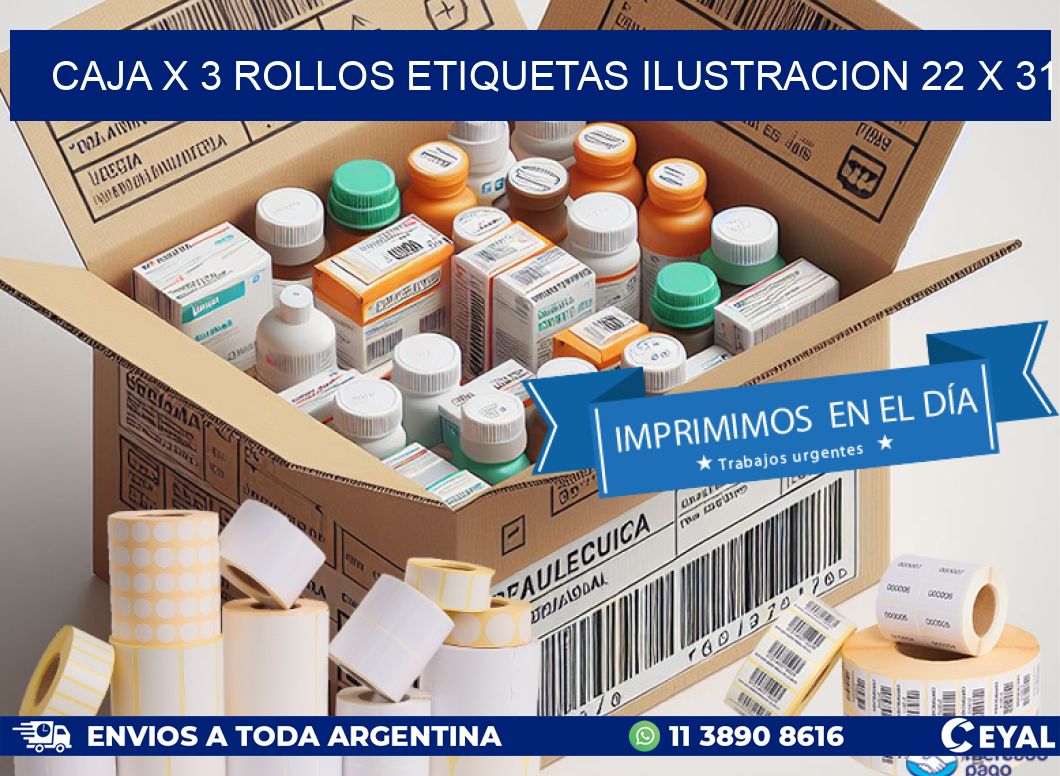 Caja X 3 Rollos Etiquetas Ilustracion 22 x 31