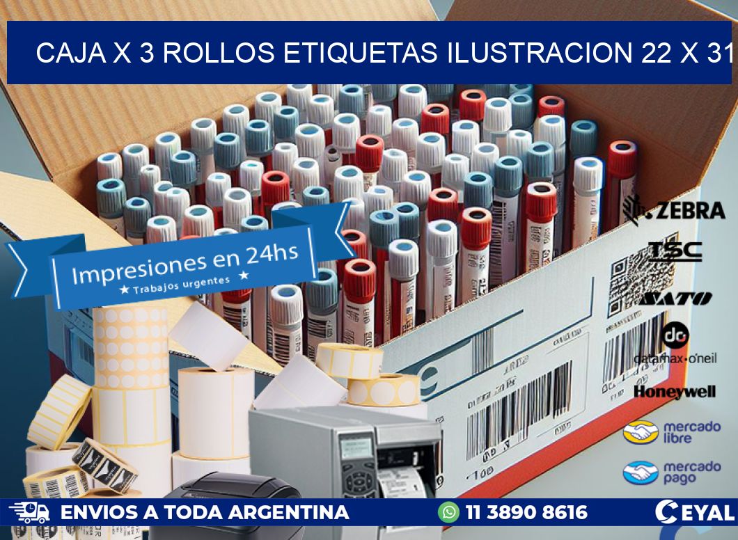 Caja X 3 Rollos Etiquetas Ilustracion 22 x 31