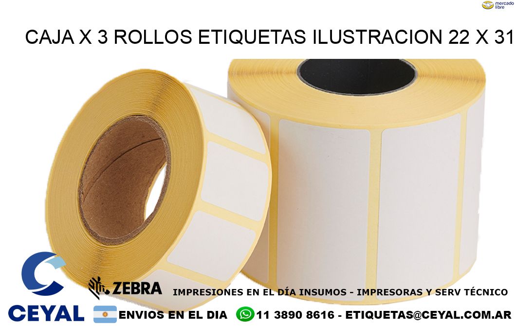 Caja X 3 Rollos Etiquetas Ilustracion 22 x 31
