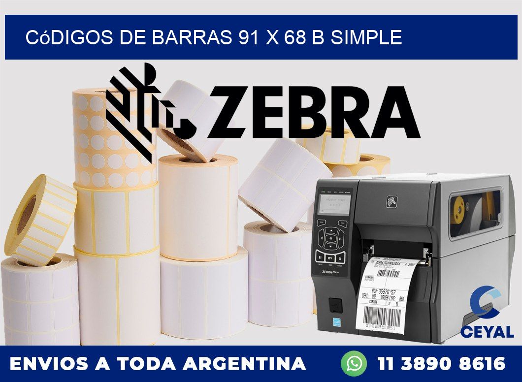 Códigos de Barras 91 x 68 b simple