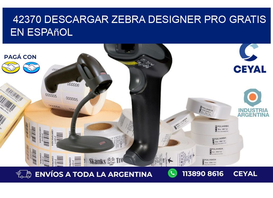 42370 Descargar Zebra Designer Pro gratis en Español
