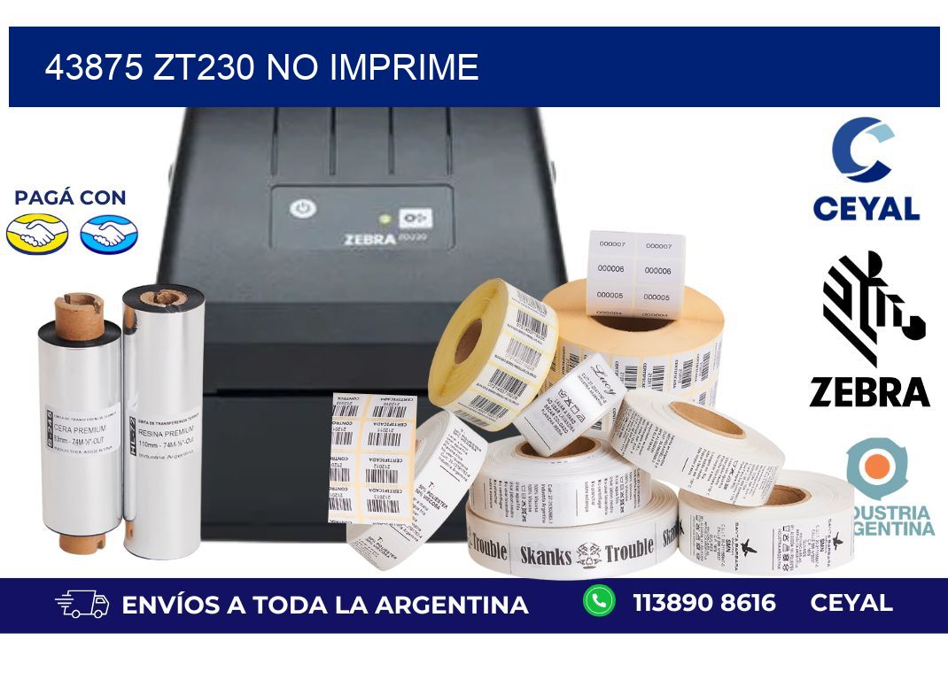 43875 ZT230 no imprime