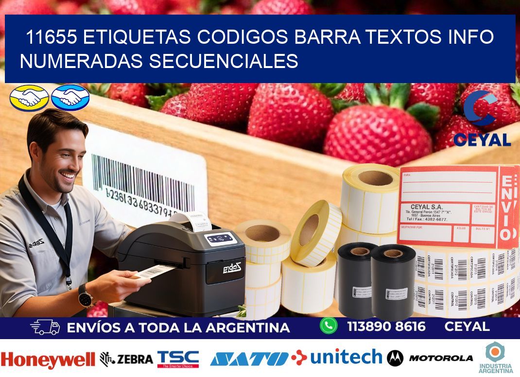 11655 Etiquetas Codigos Barra Textos Info Numeradas Secuenciales