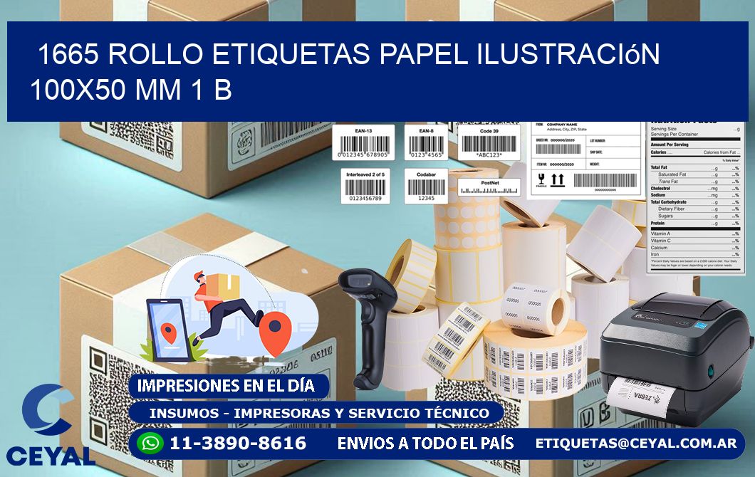 1665 Rollo Etiquetas Papel Ilustración 100x50 Mm 1 B