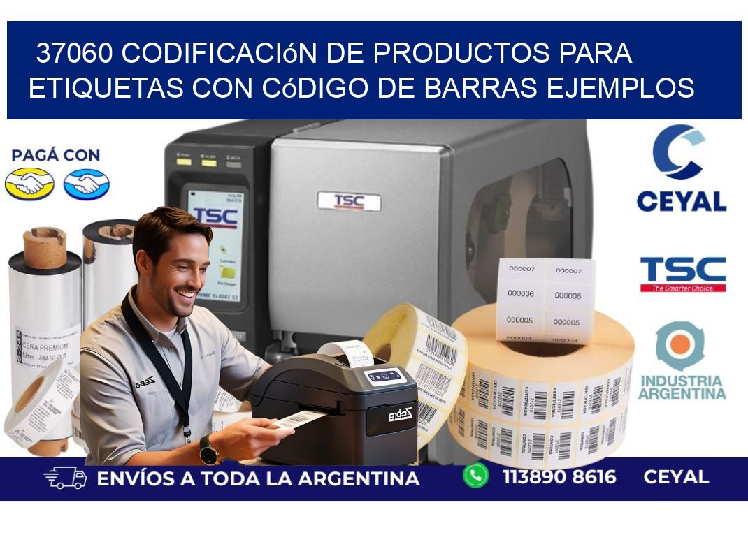 37060 Codificación de productos para etiquetas con código de barras ejemplos