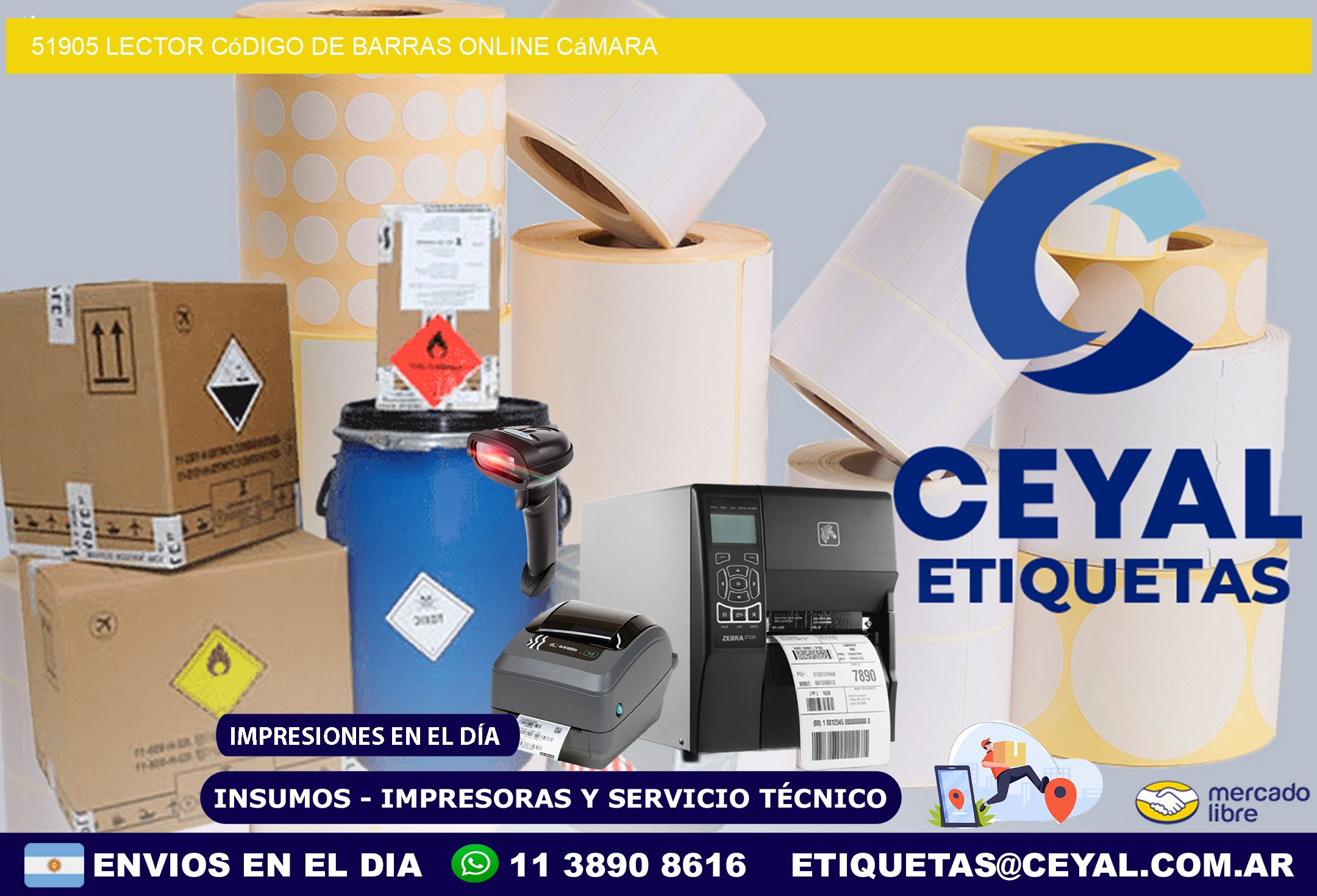 51905 Lector código de barras online cámara