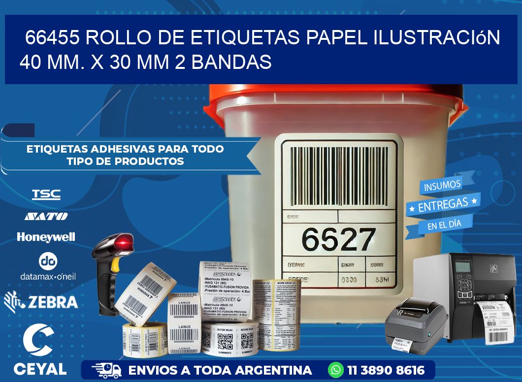 66455 Rollo de Etiquetas Papel Ilustración 40 mm. x 30 mm 2 Bandas