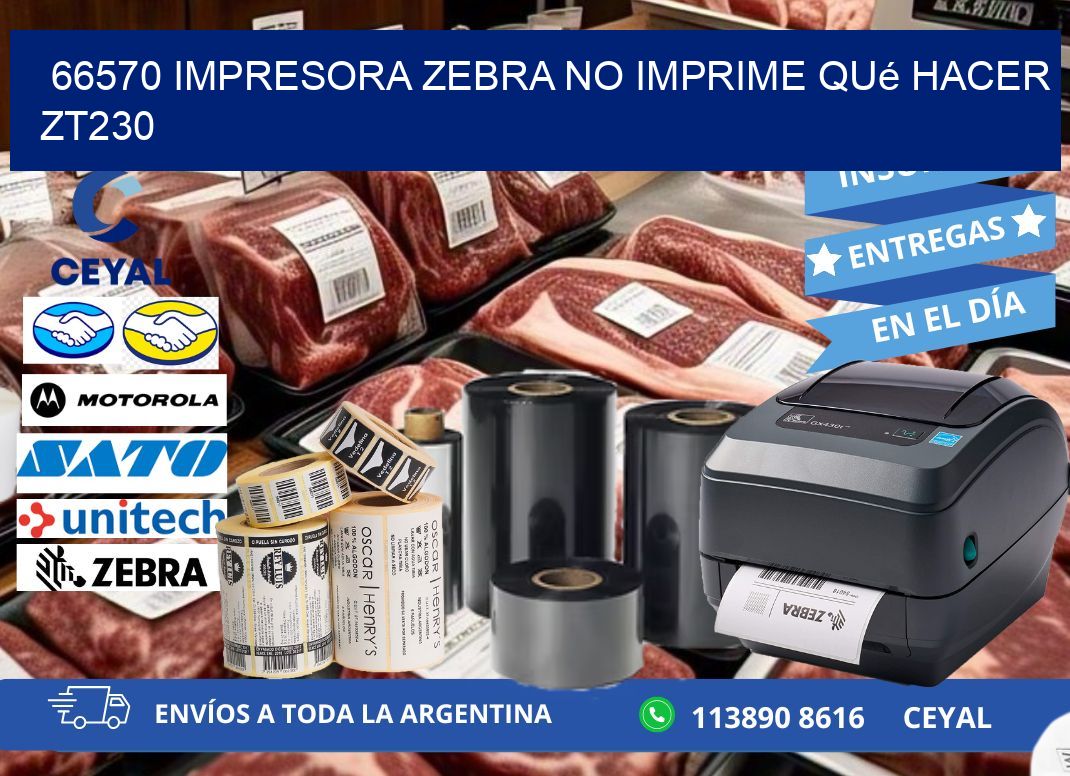 66570 impresora zebra no imprime qué hacer ZT230