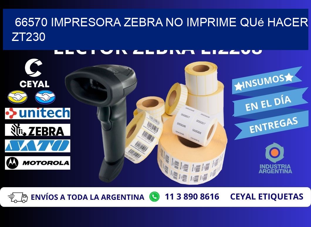 66570 impresora zebra no imprime qué hacer ZT230