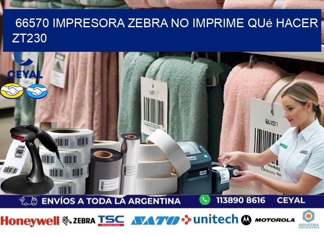 66570 impresora zebra no imprime qué hacer ZT230