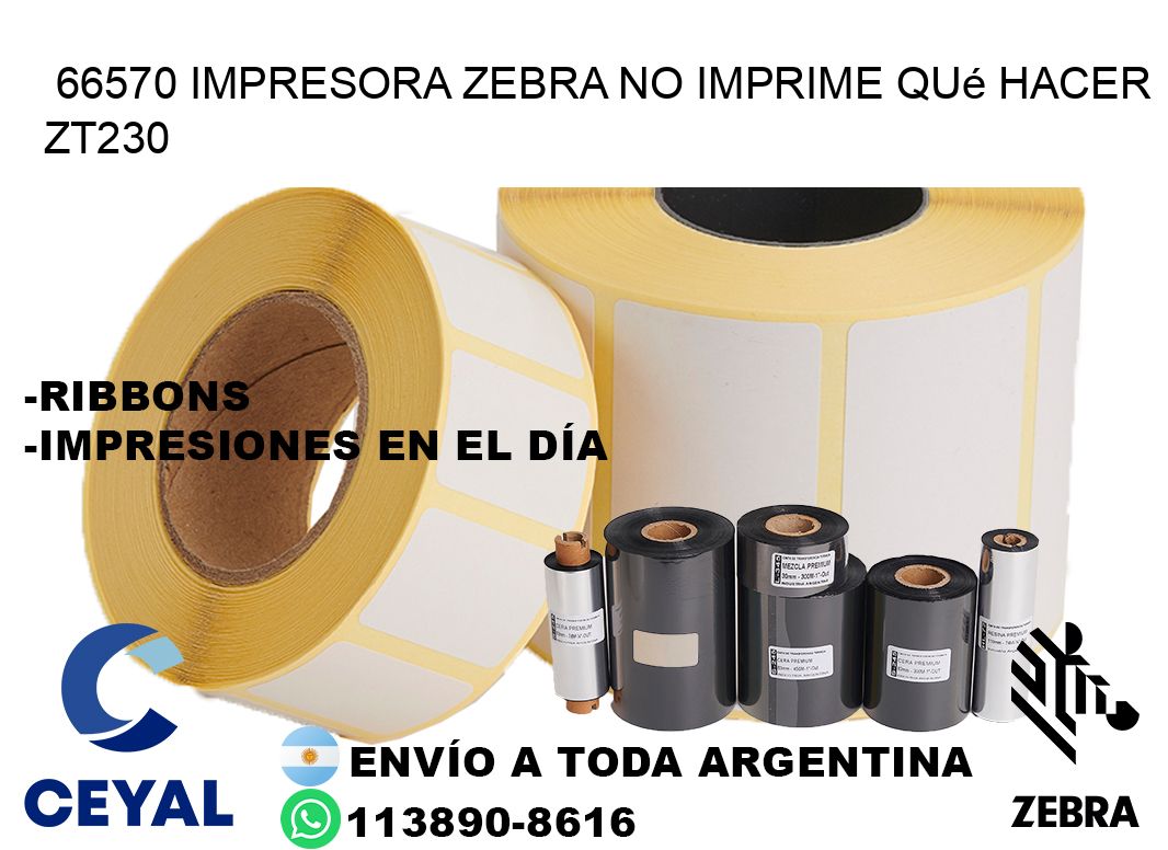 66570 impresora zebra no imprime qué hacer ZT230