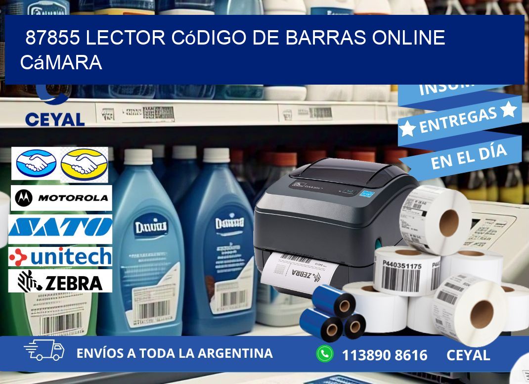 87855 Lector código de barras online cámara