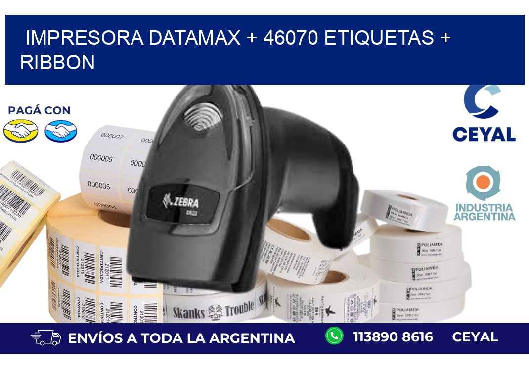 impresora DATAMAX + 46070 etiquetas + ribbon
