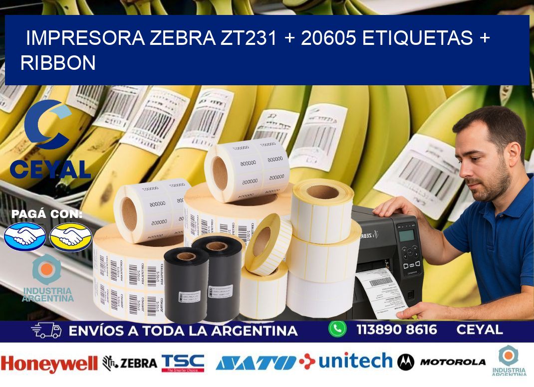 impresora zebra zt231 + 20605 etiquetas + ribbon