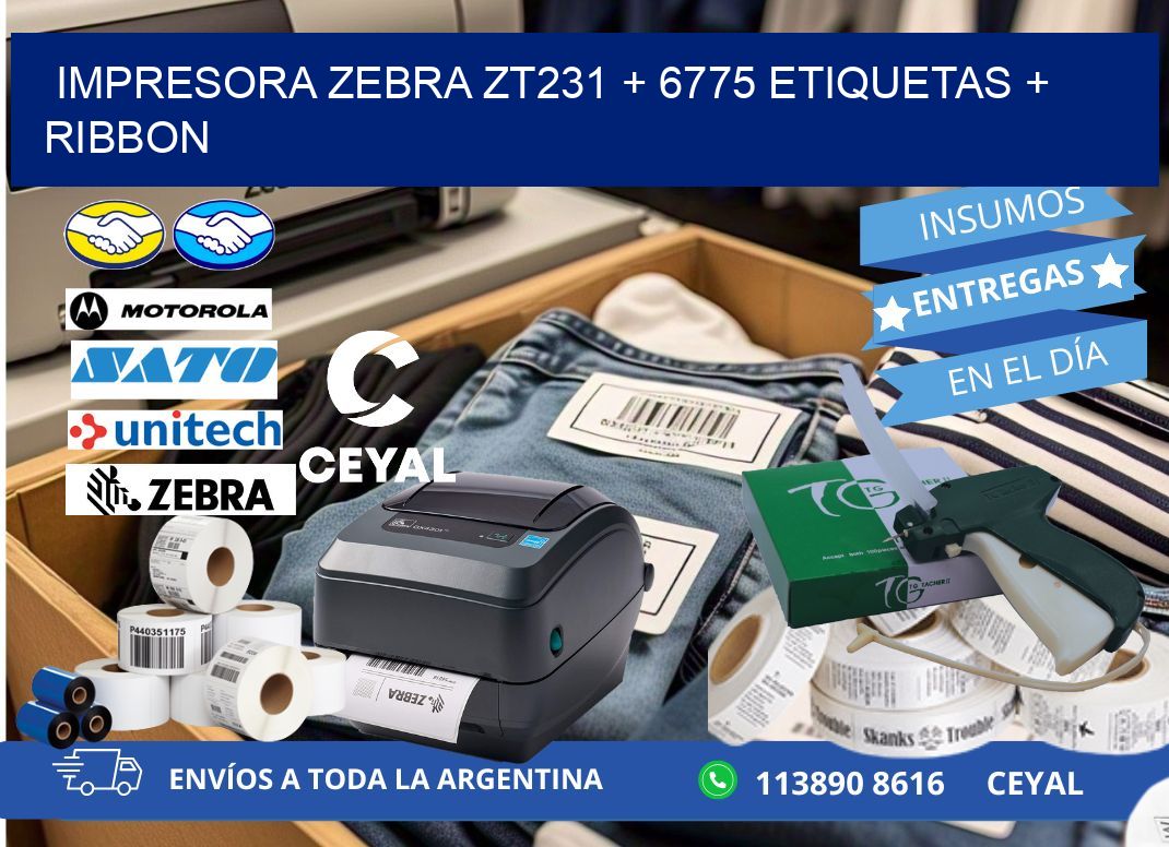 impresora zebra zt231 + 6775 etiquetas + ribbon