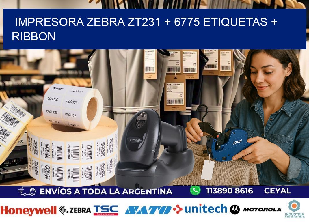 impresora zebra zt231 + 6775 etiquetas + ribbon