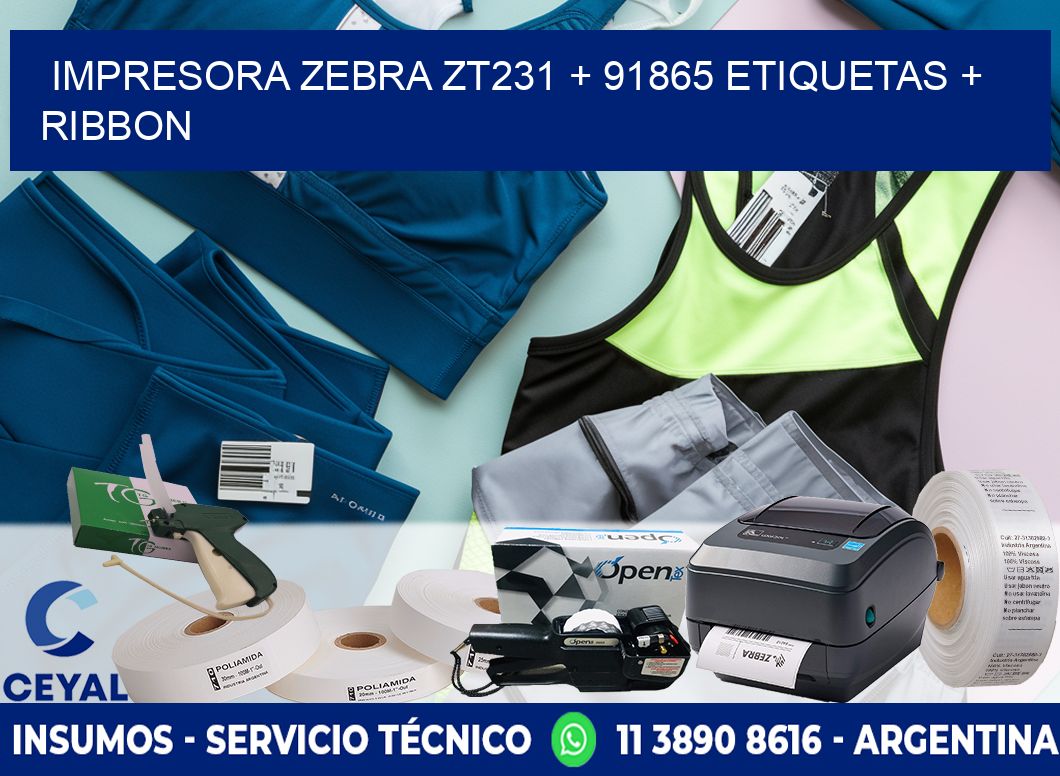 impresora zebra zt231 + 91865 etiquetas + ribbon