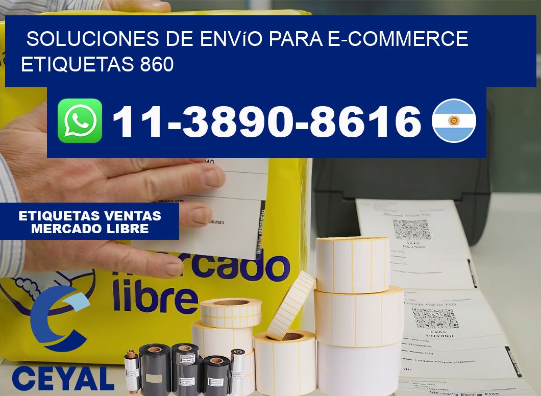 Soluciones de envío para e-commerce  etiquetas 860